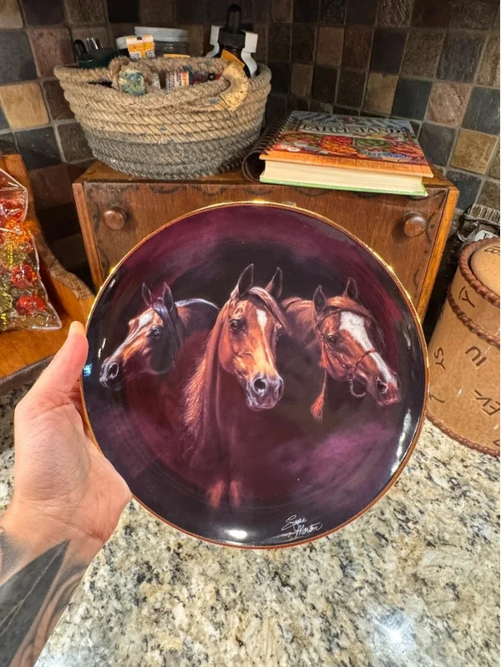 Vintage Danbury Mint collectible horse plate